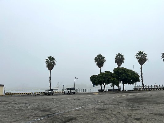 IMG 6370