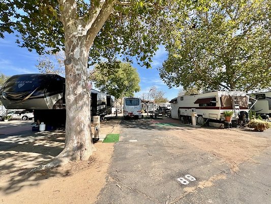 Castaic Lake RV Park 31540 Ridge Road Castaic 8985