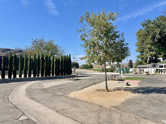 Castaic Lake RV Park 31540 Ridge Road Castaic 8968