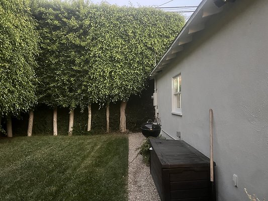 IMG 0503