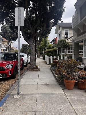 IMG 1761