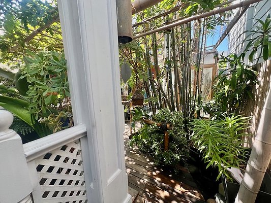 155 Hart Ave - Kathy McIntryre 6820