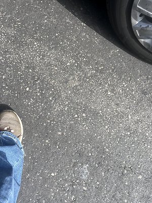 IMG 0166