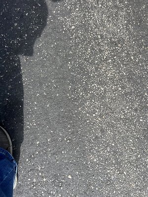 IMG 0165