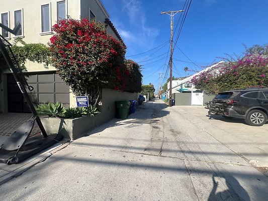 IMG 0334