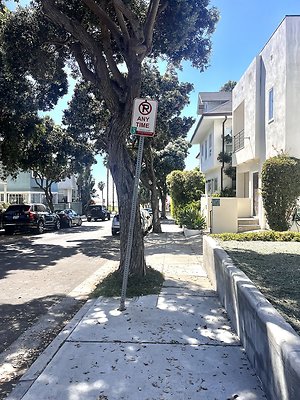 IMG 0977