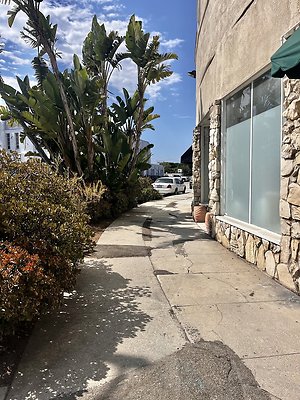IMG 1870