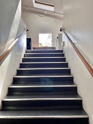 IMG 1139