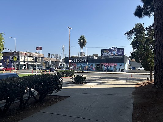 IMG 3801