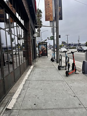 IMG 2206