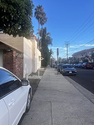 IMG 2877