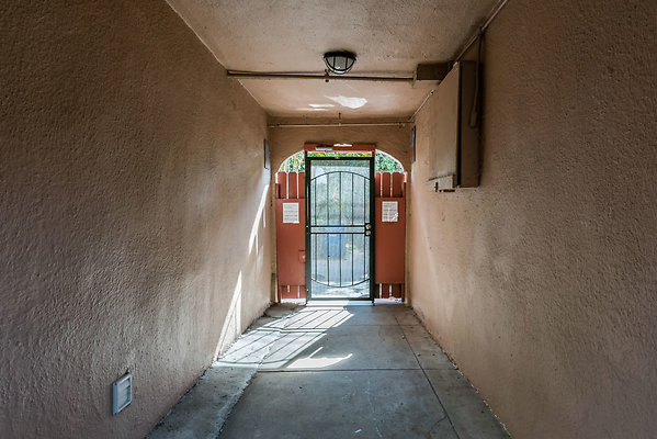 4252-29