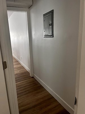 IMG 2572