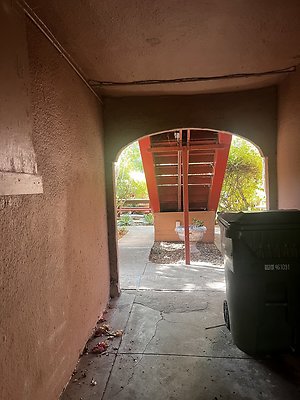 IMG 1623