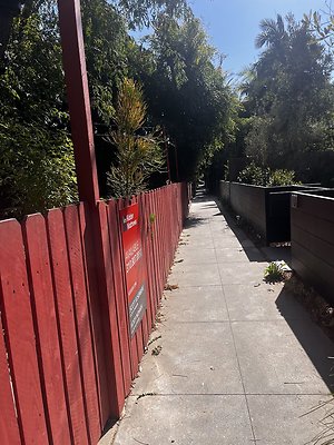 IMG 1606