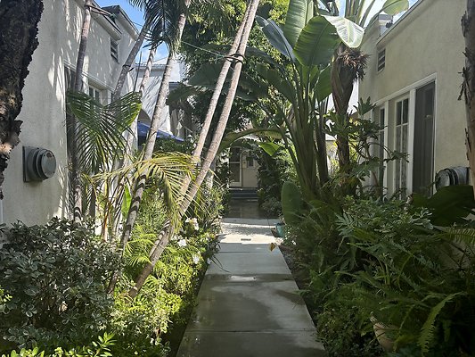IMG 3382