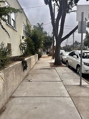 IMG 2458