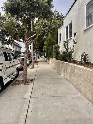 IMG 2457
