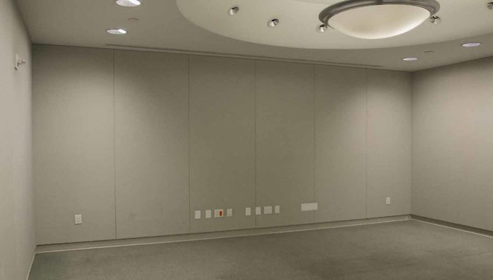 Union-Bank-Plaza-17th-Floor-Conference-Room-C-004