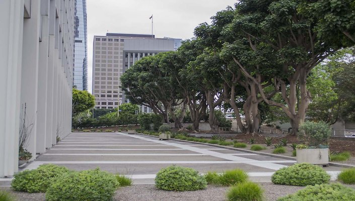 Union-Bank-Plaza-Plaza-056
