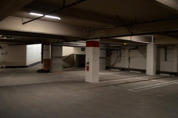 IMG-1232