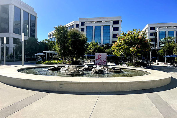 Exterior Grounds (4)