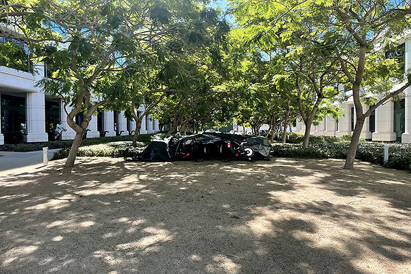 Exterior Grounds (8)
