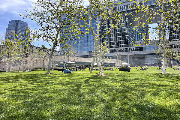 Exterior Plaza (10)