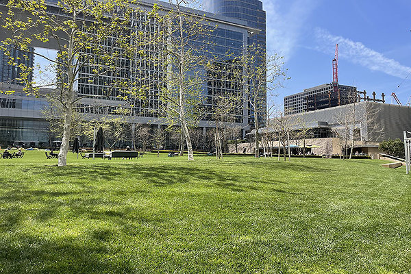 Exterior Plaza (3)