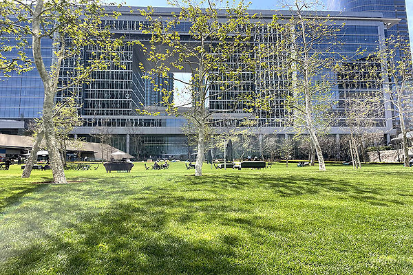 Exterior Plaza (2)