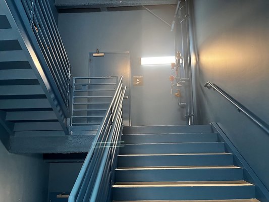 IMG 3654