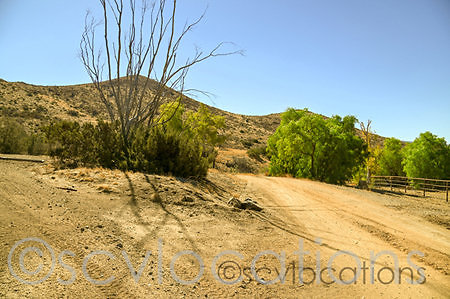 SG RANCH 0072