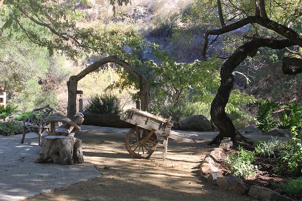Rustic Oak 20