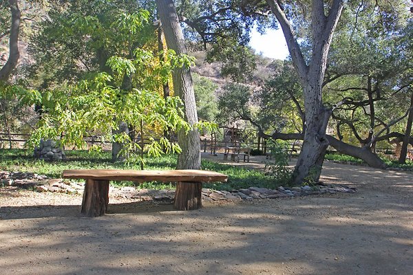 Rustic Oak 11