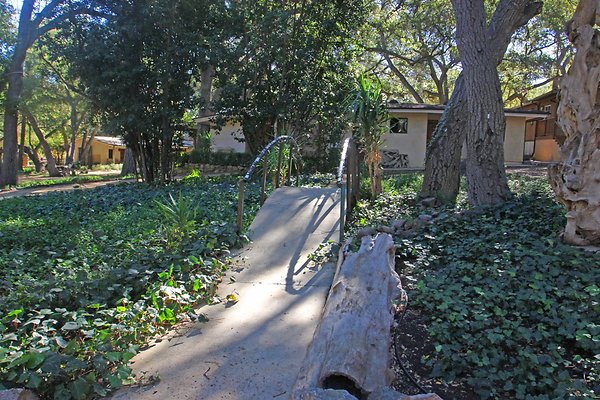 Rustic Oak 8