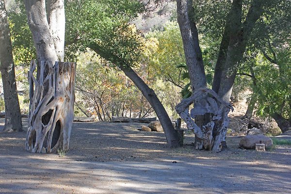 Rustic Oak 9