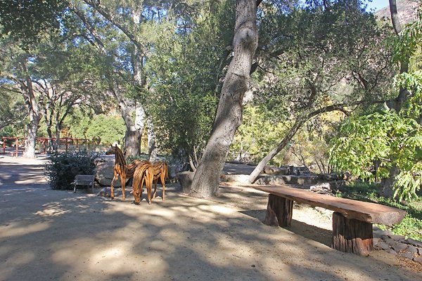 Rustic Oak 12