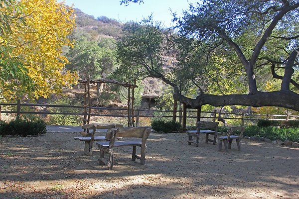 Rustic Oak 14
