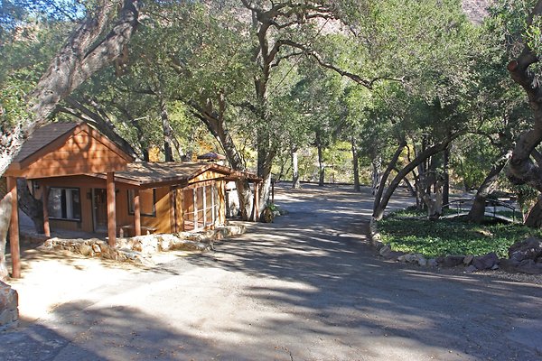 Rustic Oak 3