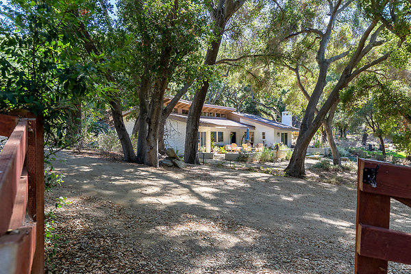 Agoura - 5488 - Toni