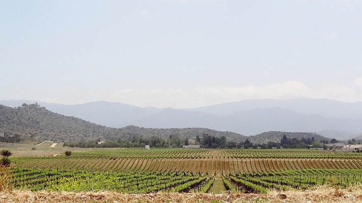 Agua Dulce - Agua Dulce Winery - R2R