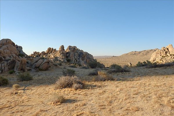 4aDSCF0006