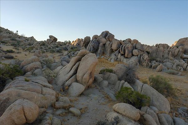 4aDSCF0005