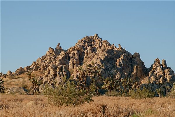 4aDSCF0002