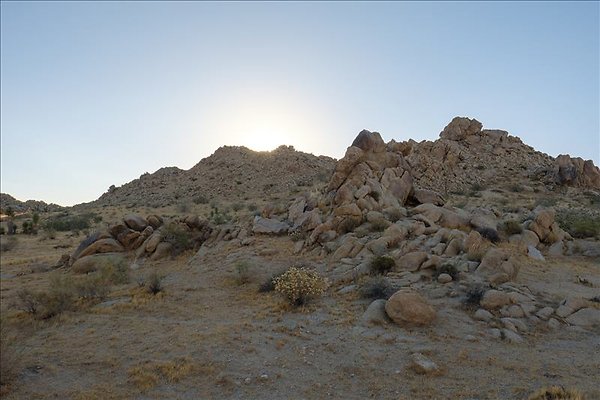 4aDSCF0004