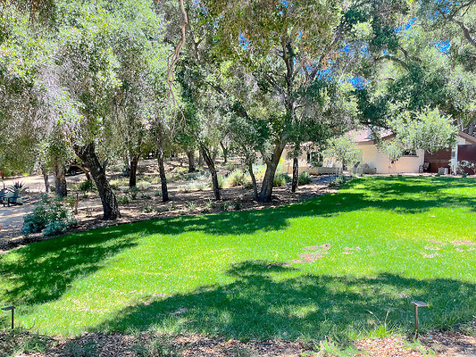 White Brick Ranch 54