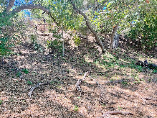 White Brick Ranch 33