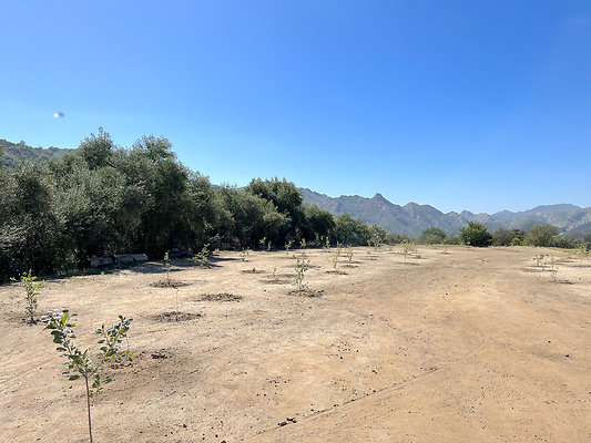 Caballo Ranch 19