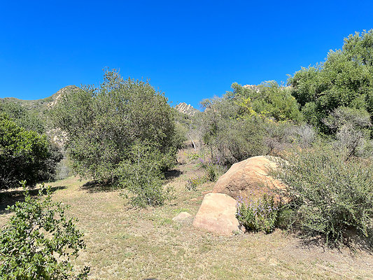 Caballo Ranch 104