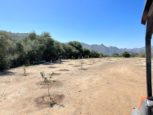 Caballo Ranch 18